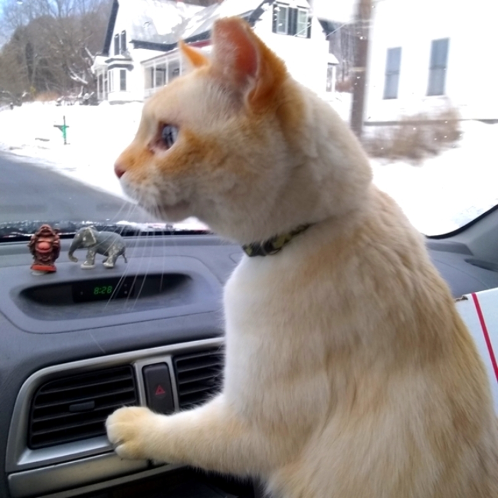 My Assistant on the way to the PO